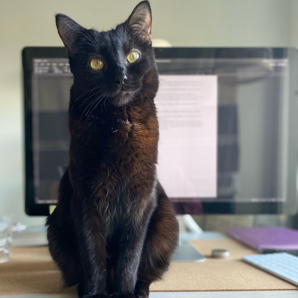 Meet your Posher, Emily